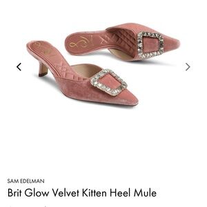 Sam Edelman Brit Glow Velvet Mules with Buckle